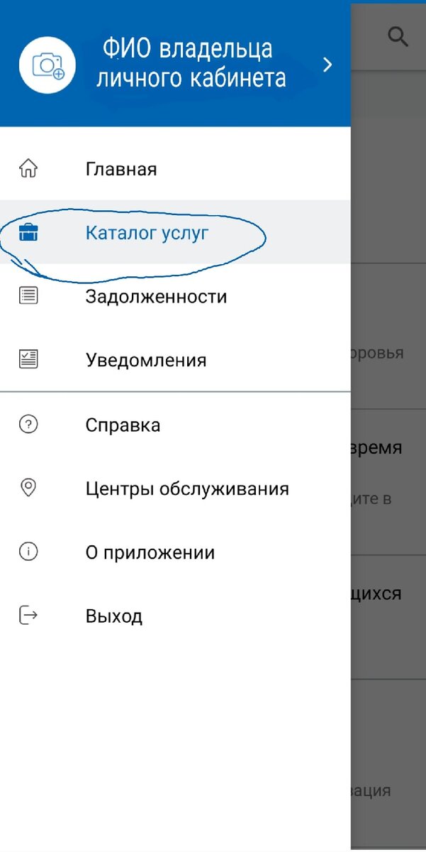 скрин экрана — выбираем каталог услуг