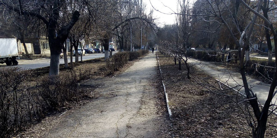 Теперь это всё - заразная зона, здесь прошёл во-о-он тот мужик. Кстати, его за это уже оштрафовали.