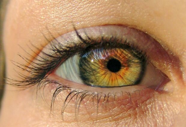 Источник:https://www.pinterest.ru/pin