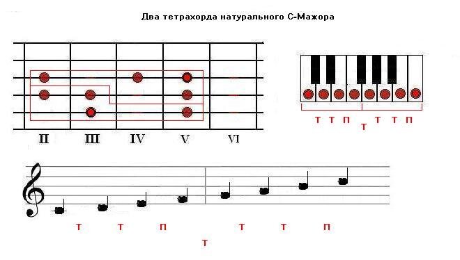 Тетрахорды С-мажора