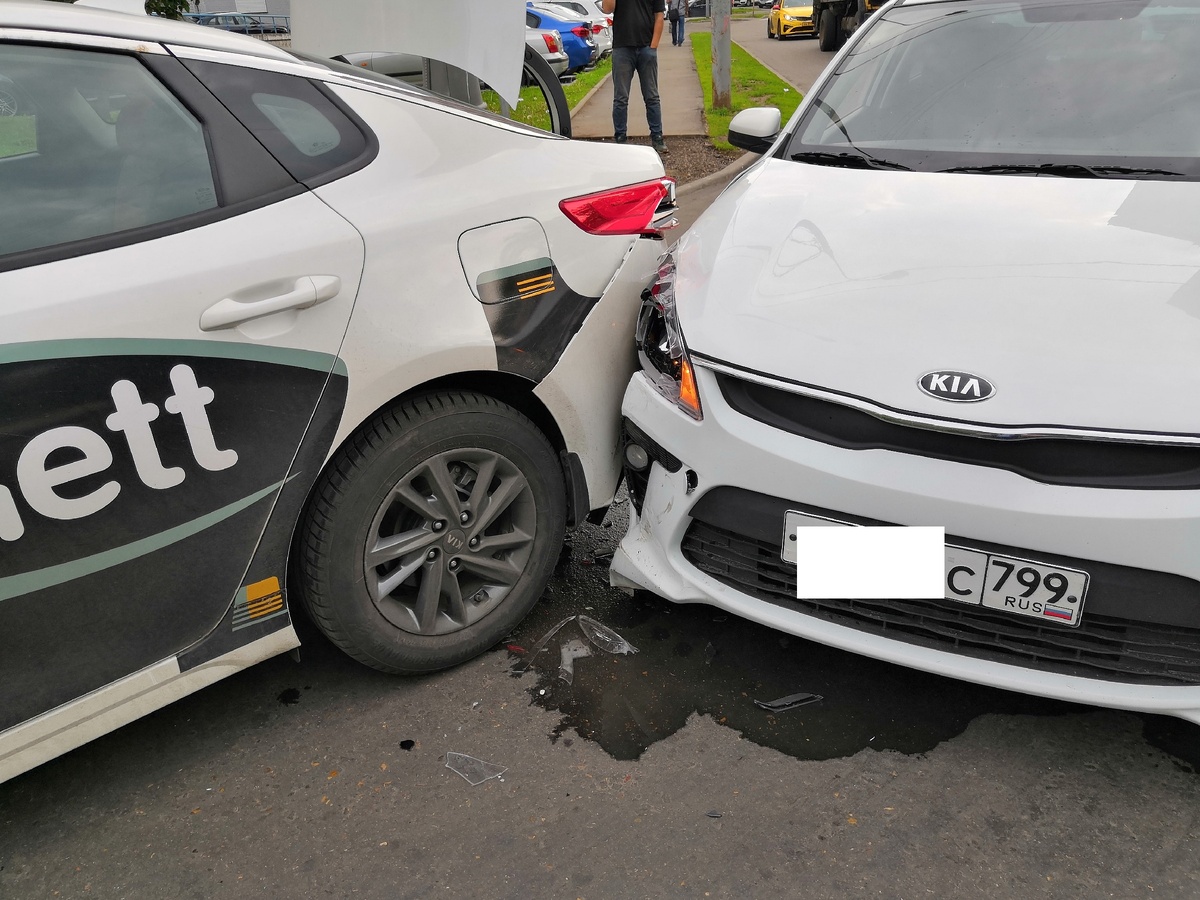 Зебра, пешеход, я и другой таксист