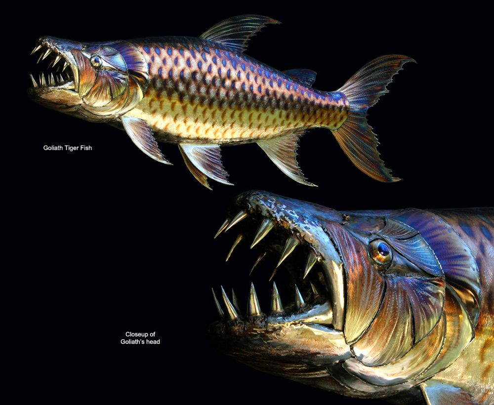 Собственно сам Голиаф