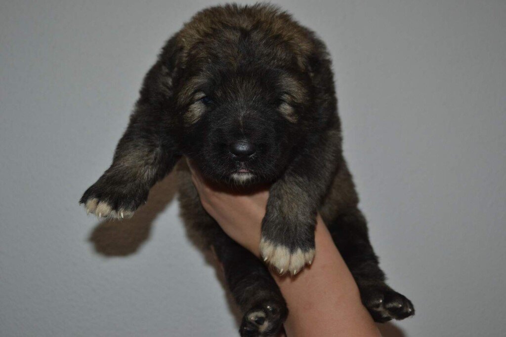 Социализация с людьми и окружающей средой