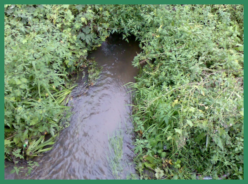 Вот так сейчас выглядит когда-то полноводная река Кур. (Фото из открытых источников)