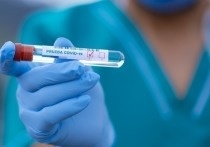 На Ямале ограничительные меры из-за коронавируса продлили до конца года
36562