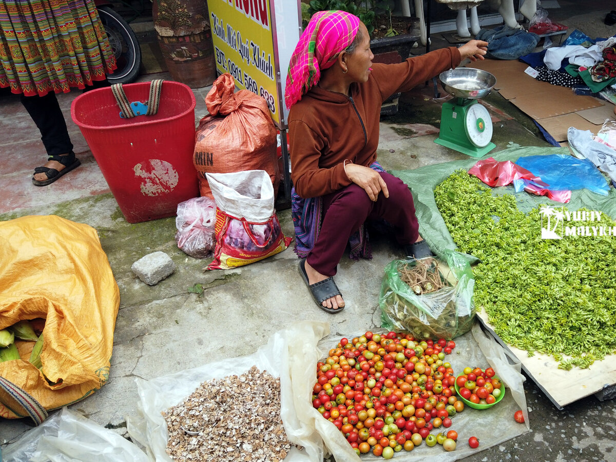 Какими товарами удивляют рынки во Вьетнаме? Те, куда не возят туристов