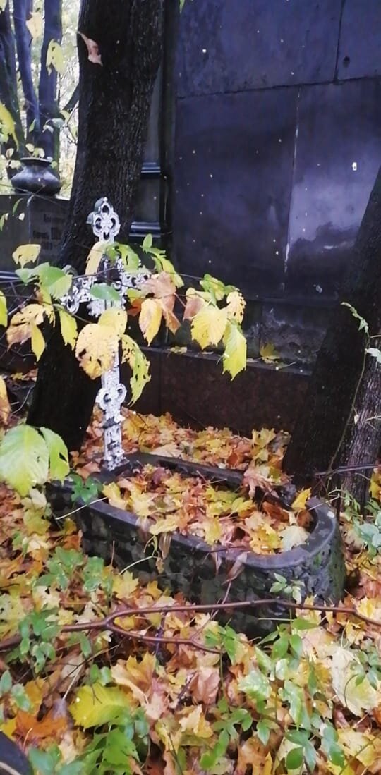 Фото сделано Евой (на плохой телефон)