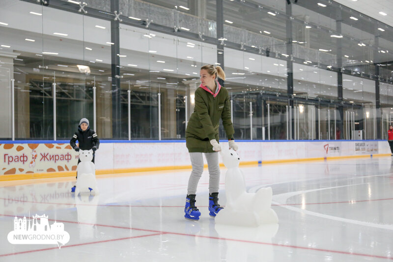Каток псков ледовый дворец. Ледовый дворец могилев. Ледовый каток. Ледовый дворец рязань каток. Ледовый дворец могилев катание.