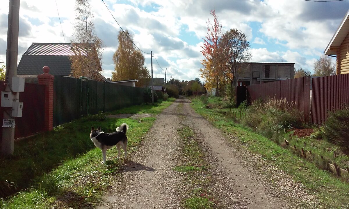 жизнь в СНТ