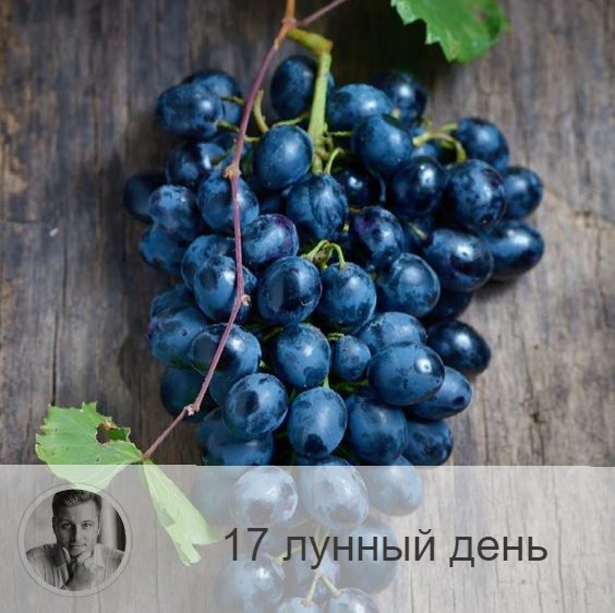 Подписывайтесь на наш канал, друзья!
17-ый лунный день с 17:25 1-ого по 17:42 2-ого. 🔆 Время радости и удовольствия.
🍇 Символа дня – гроздь винограда, колокол.
🎂 Люди, рождённые в этот лунный день, нуждаются в своей половинке, для них она будет источником энергии, тогда их ждет мудрость, сила, процветание и счастье.
💍 Камни - аметист, циркон.
🌞 17-ые лунные сутки связаны с Содомом и Гоморой, символы — заяц, виноградная лоза и колокол. Не стоит начинать серьёзные проекты, зато можно уделить время отдыху и веселью. Сегодня можно расслабиться, отдаться настроению, провести время с хорошими друзьями, выпить вина и от души посмеяться. Этот день прекрасен для занятий тантрическими практиками и сексуальных наслаждений. Благоприятно путешествовать и заниматься коммерцией. Очень сильна женская энергетика.
✅ Рекомендуемые практики: веселитесь, смейтесь, любите.
С самого утра настройтесь на то, чтобы замечать все позитивное, хорошее, доставляющее радость. В течение дня отдавайте предпочтение приятным занятием. Делайте все то, что у вас хорошо получается, и это обязательно принесёт радость и удовлетворение.
❌Запрещено: ругань, заключение договоров, обещания.
Сегодня нельзя комплексовать и ругаться. Старайтесь избегать трудностей и не создавайте их искусственно. Лучше отказываться от поступающих предложений, не создавать себе долгов и не давать обещаний, поскольку это мешает внутренней свободе. Если неправильно использовать энергию 17-го дня, создавать себе ограничения, то человек может вести себя бесконтрольно, что будет вредно для него и для окружающих.
⭕️Уязвимые органы: почки.
С этим днём связаны эндокринная системы, гипофиз, почки и надпочечники.
💤 Сны сегодняшнего часто исполняются на 3-ий день. Если сон приятный, то это значит, что ваши дела ждет успех. Если же сон неприятен, то в вас недостает гармонии.

—————
📖 Посмотреть отзывы 👉 numeromagic.ru/reviews
🧞‍♂Помощник по услугам 👉 numeromagic.ru/uslugi
