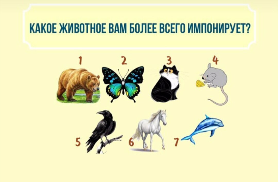 Сначала выбираем, потом читаем дальше