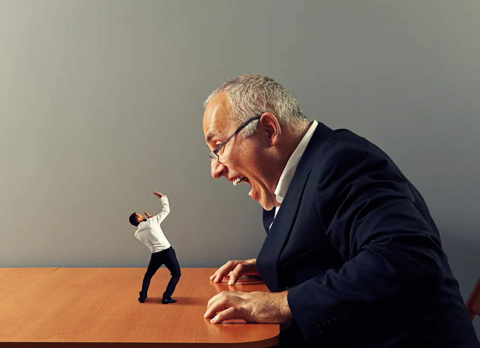 Из открытых источников в сети