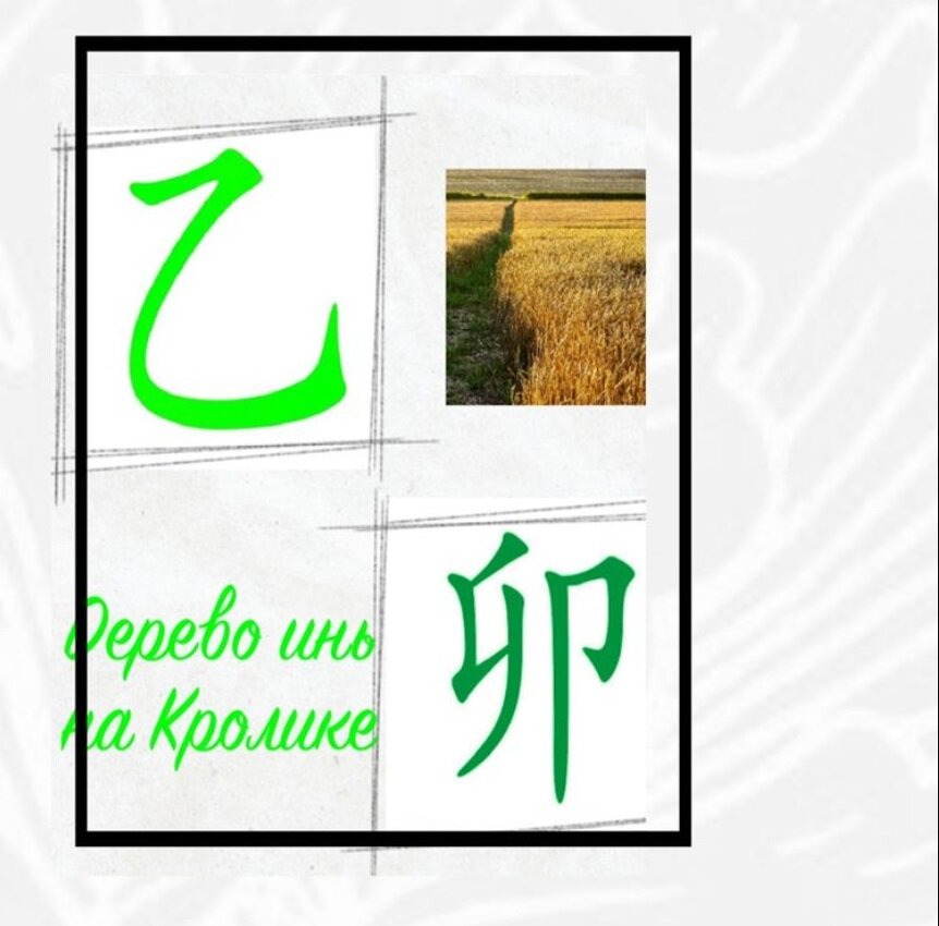 Дерево инь на кролике. Символы китайской метафизики. Дерево инь на кролике. Картинки собака по китайской метафизике. Земля инь на кролике.