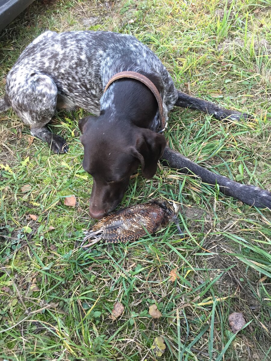 Фото из личного архива 