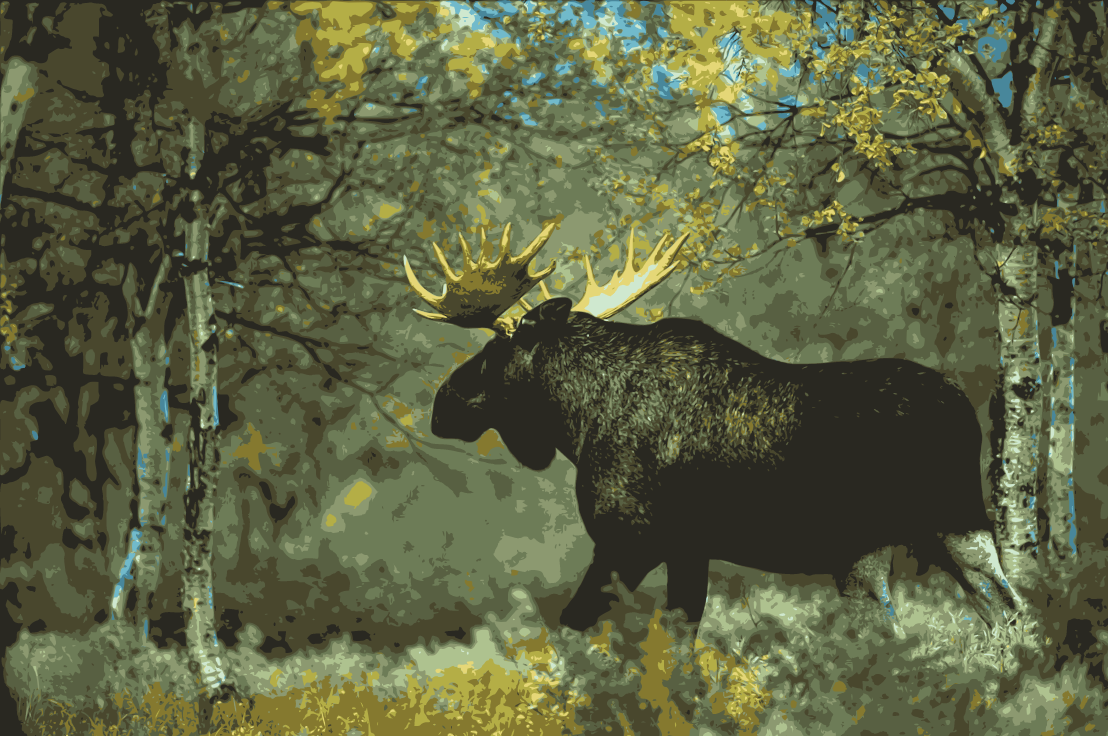 Лось в летнем лесу