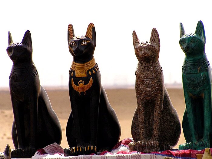 Коты египта