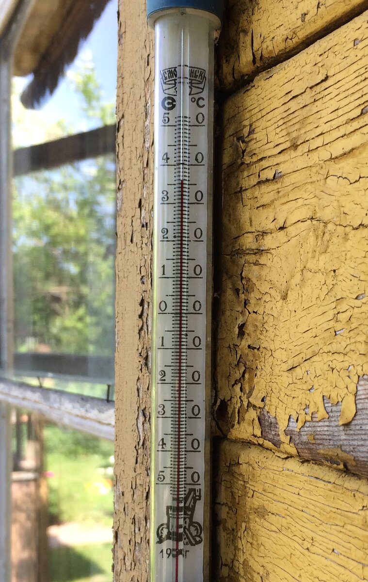 36 градусов в тени. Фото автора