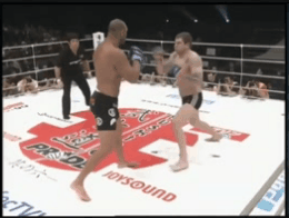 В PRIDE FC Александр Емельяненко дрался очень ярко, и провел 8 боев, в которых одержал 6 побед