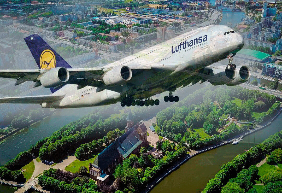 Коллаж из фото с открытых ресурсов интернета.