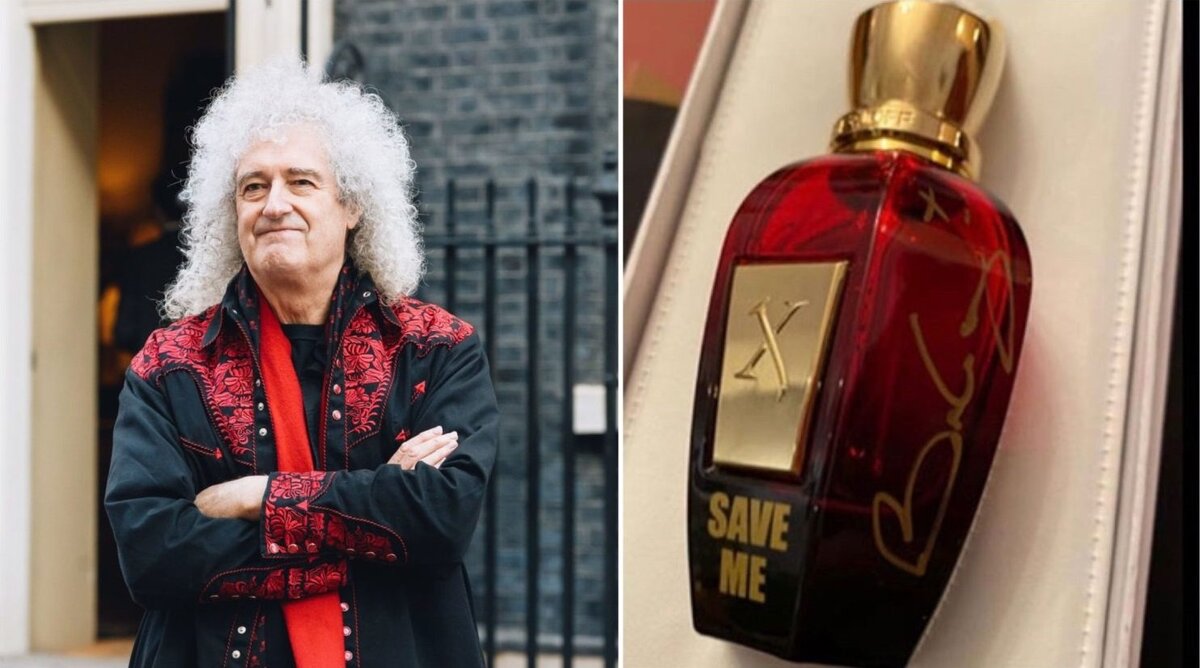 фото из открытых источников