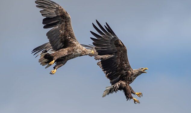 Фото: Gary Jones, dailymail.co.uk