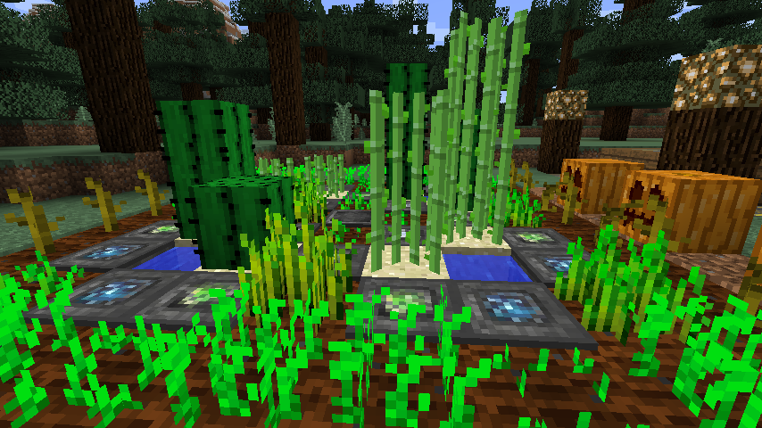 "Blood Magic is an arcane art that is practiced by mages who attempt to gather a vast amount of power through utilizing a forbidden material: blood. Even though it does grant a huge amount of power, every single action that is performed with this volatile magic can prove deadly. You have been warned."