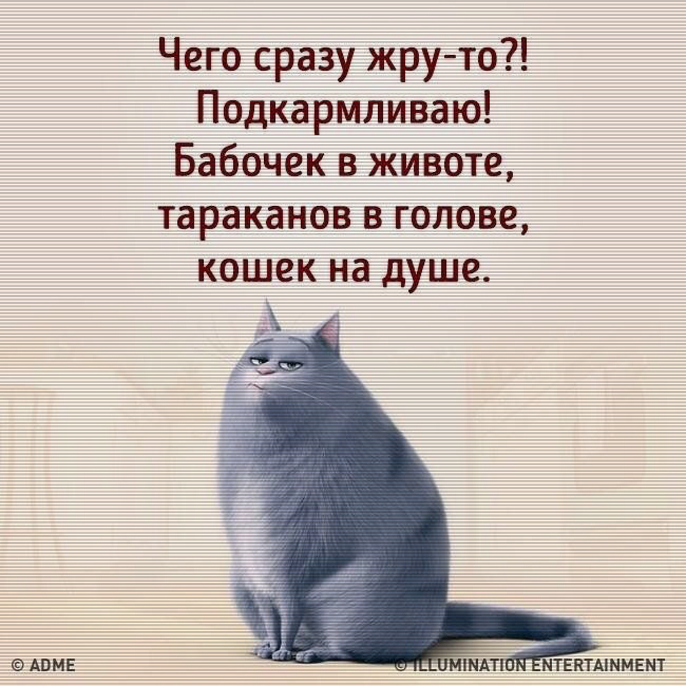 Приколы картинки про удачу