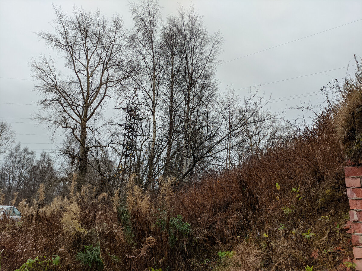 Прекрасна осенняя природа, не правда ли?)