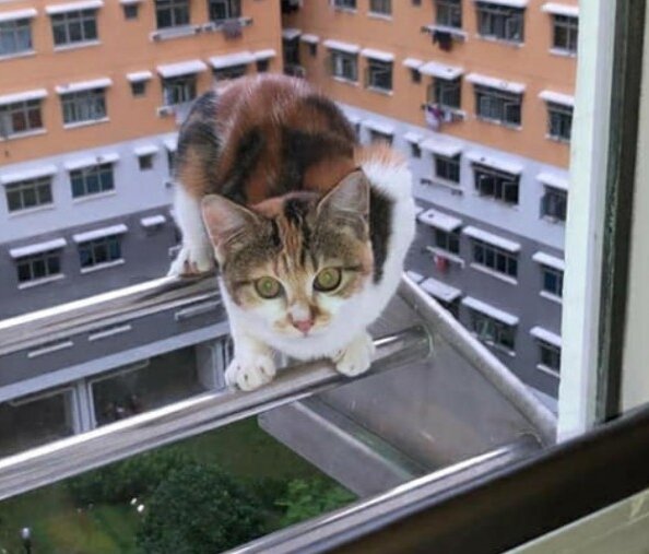 Фото из Интернета