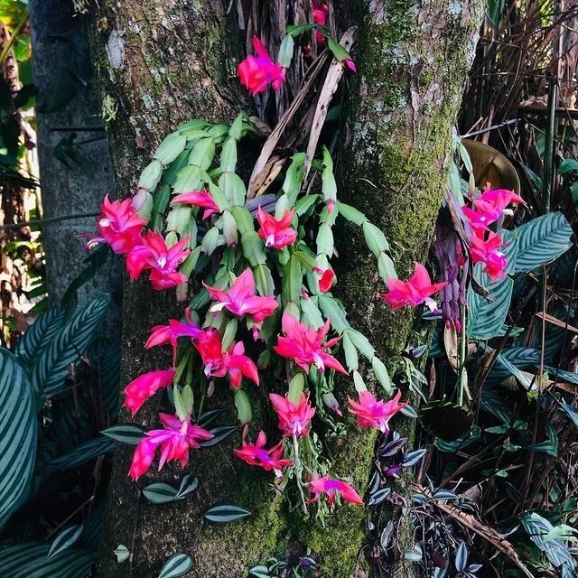 Фото взято из интернета