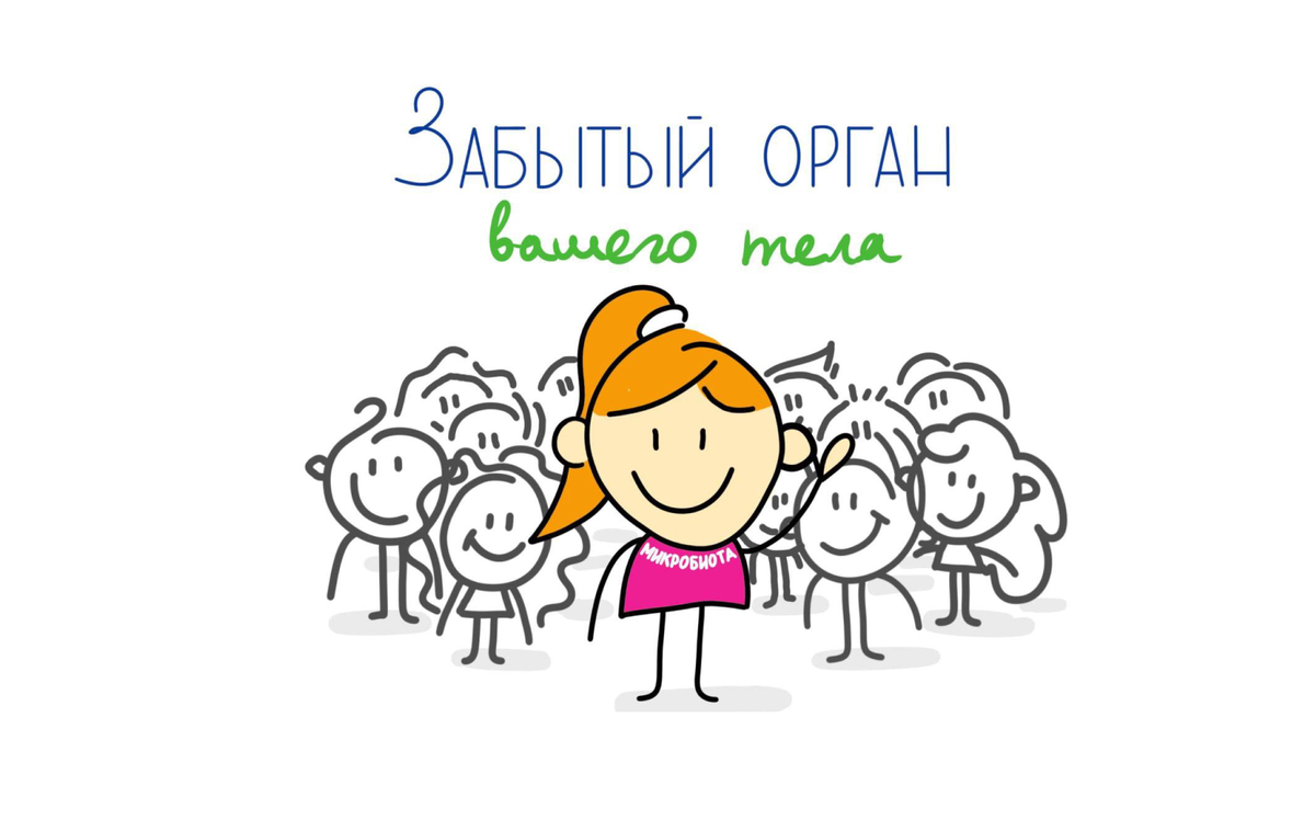 Микробиота - орган, про который все забыли «Микробиота? Нет, не слышали». «Ну наверно, это полезная бактерия» «Это где-то в кишечнике». Микробиота – это микрофлора.