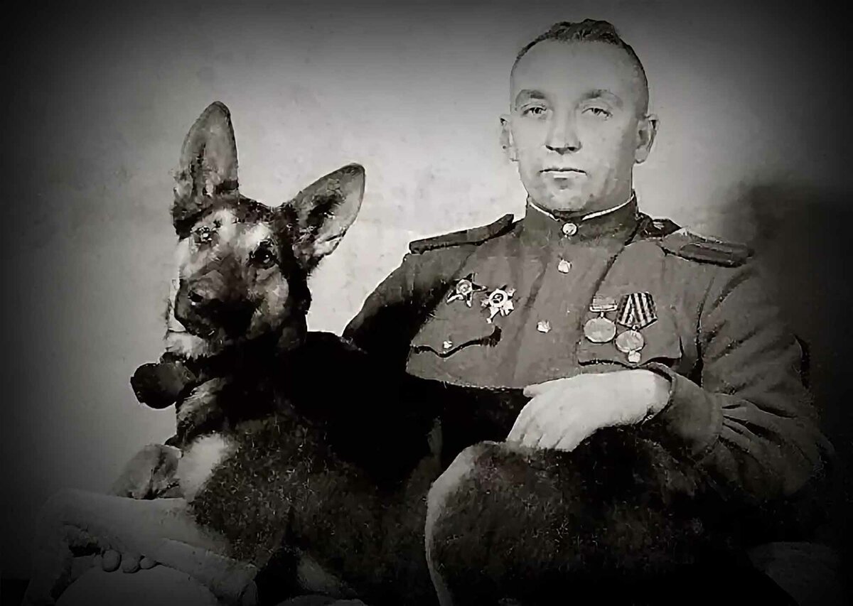 Фото взято из Яндекса.