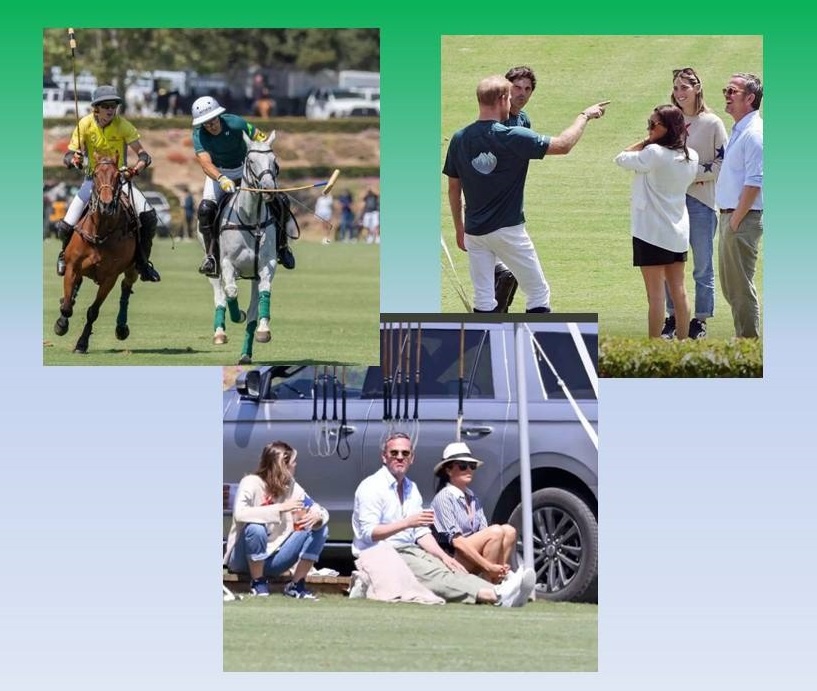 Коллаж автора канала