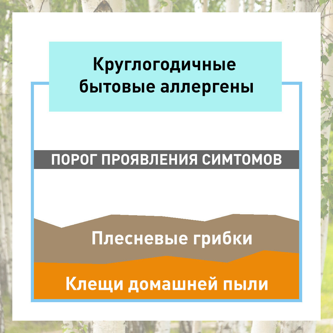 Добавьте описание