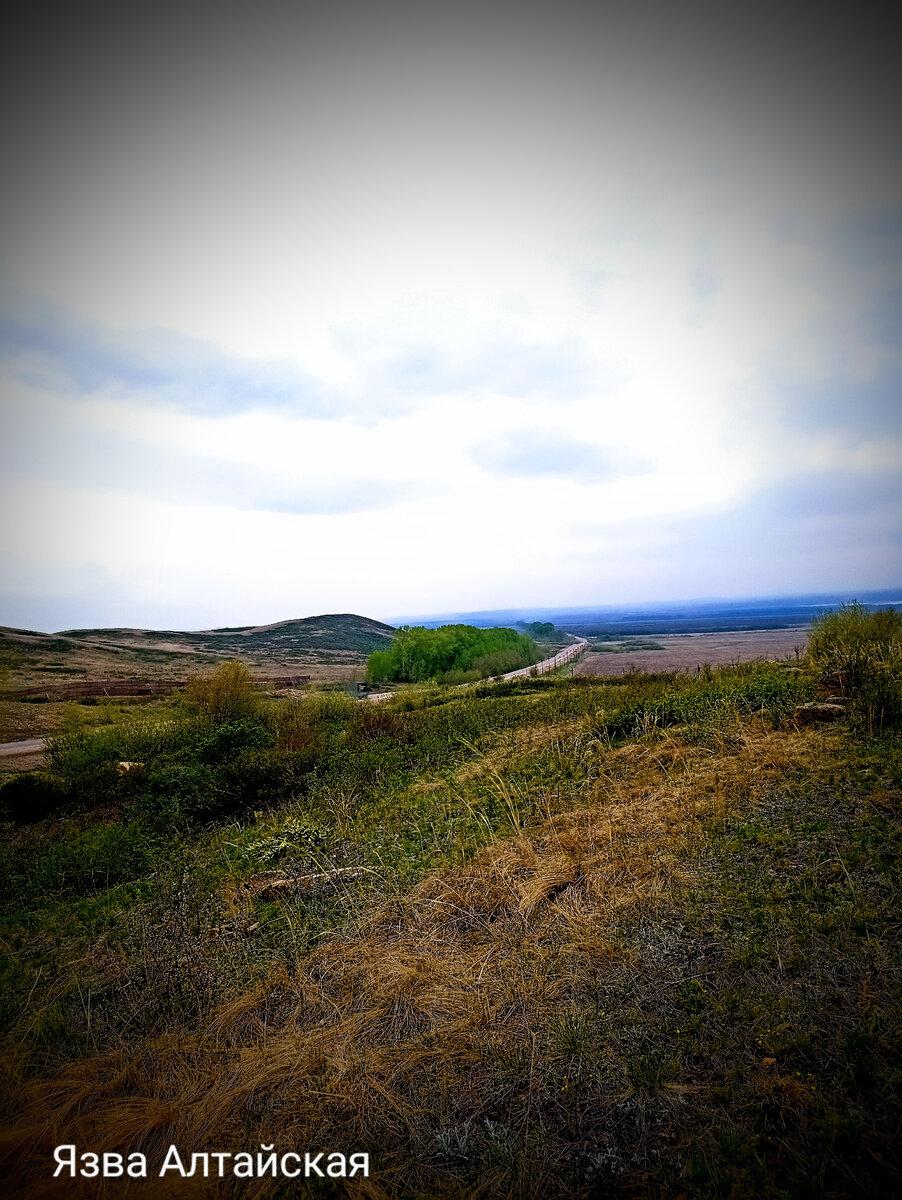 Просто фото