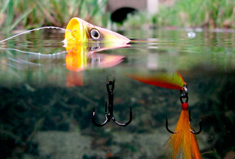 Картинка взята с сервиса Яндекс. Картинки 