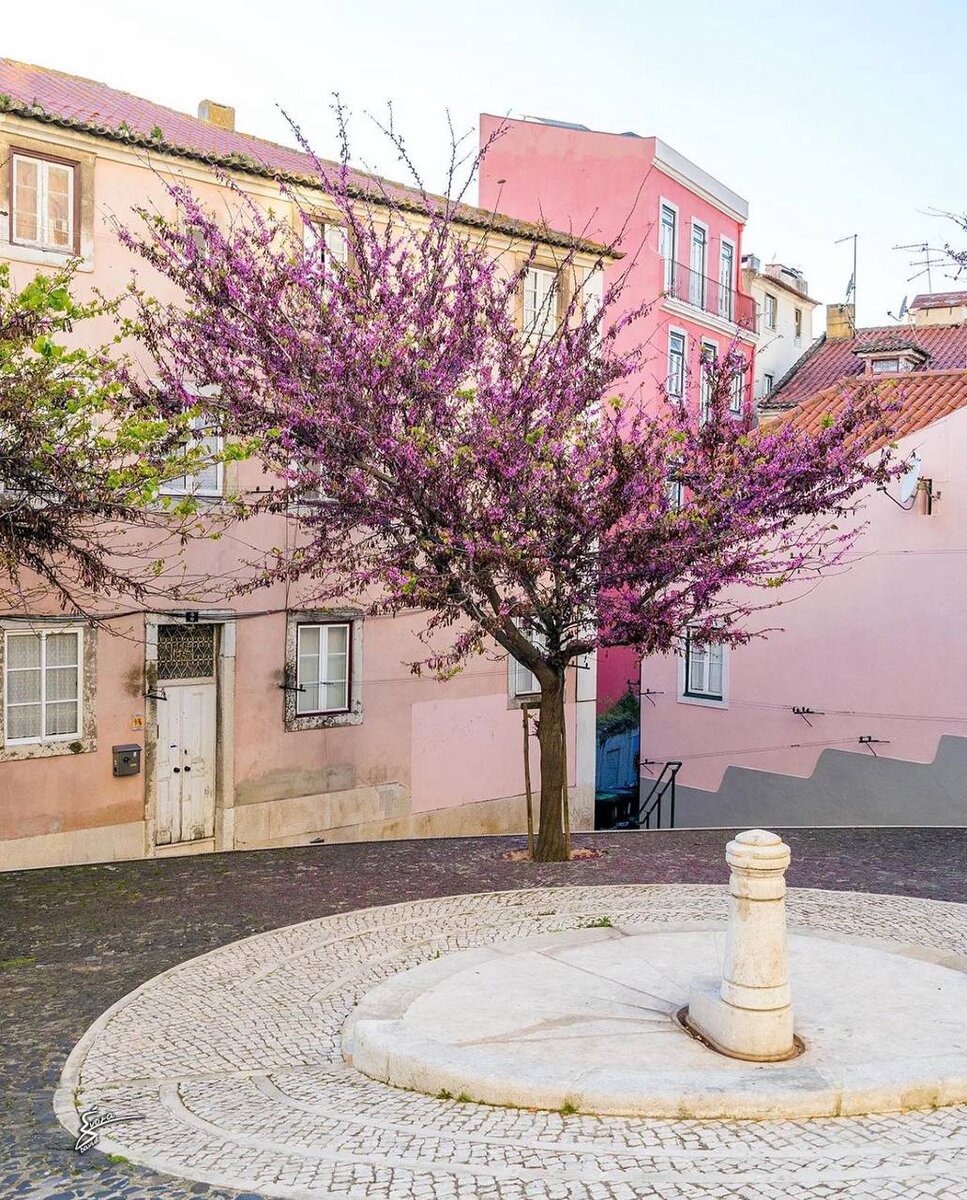 Лиссабон, Португалия