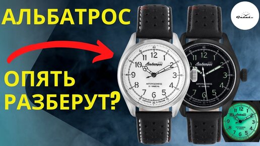 НОВЫЕ АЛЬБАТРОСЫ ИЗ РОССИИ / АЛЬБАТРОС 4455М / РОЗЫГРЫШ