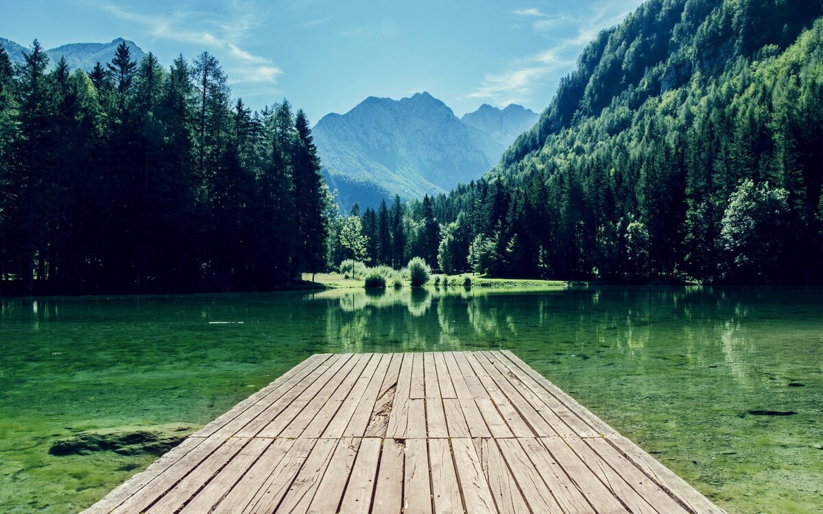 https://vsegda-pomnim.com/ozera/8340-krasivoe-ozero-v-lesu-72-foto.html