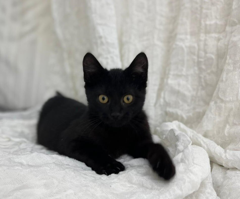 я маленький и очень любопытный