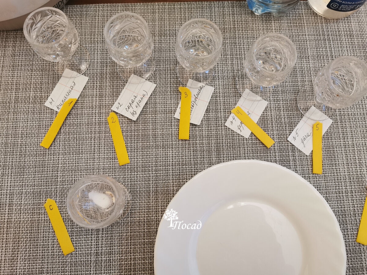 Фуршет с лакмусом. №1-кипячёная вода; №2 - из крана в квартире; №3 - фильтрованная; №4 - из колодца в деревне; №5 - из колодца на новой даче. В шестой рюмке - порошок соды.