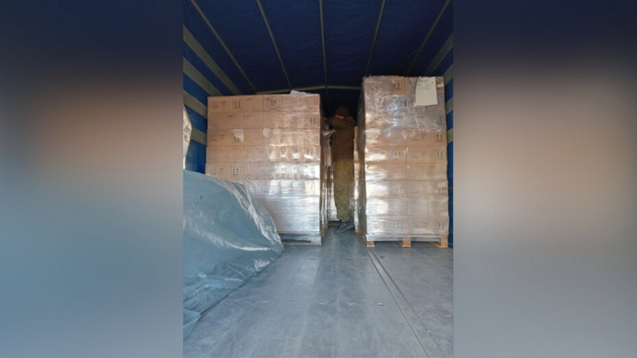   Автор фото: пресс-служба правительства Воронежской области