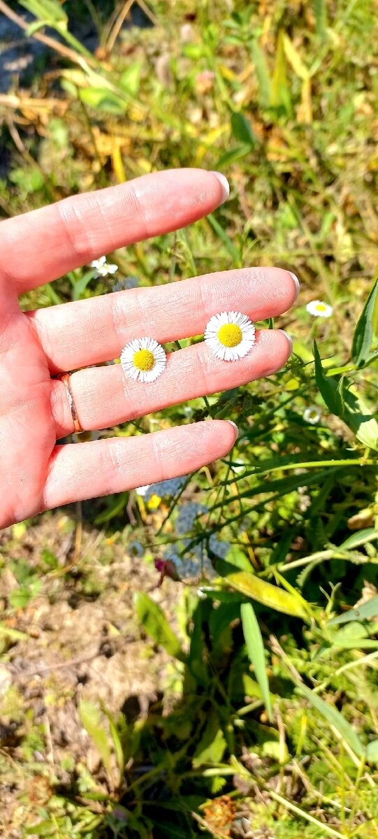 А лето останется со мной сердце и  в фотографиях😊