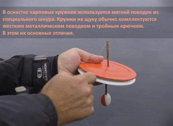 Что представляет собой кружок на карпа