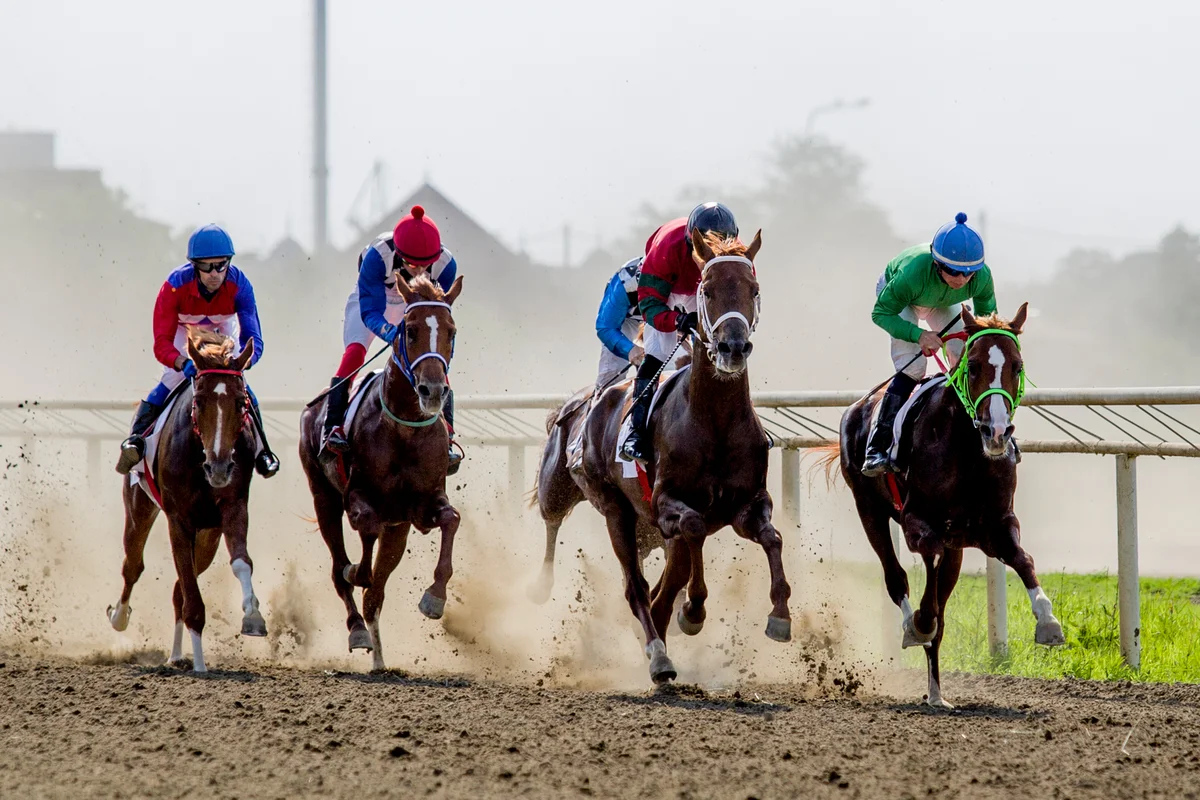 Кросс препятствия для лошади. Спортсмены конного спорта узбекистана. Лошади чемпионы скачек. Сурхарбан скачки. Ипподром краснодар фотосессия.