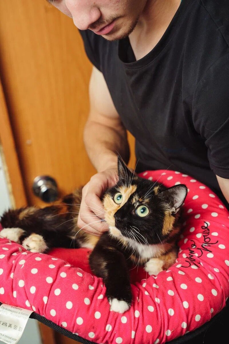 Необходимая помощь