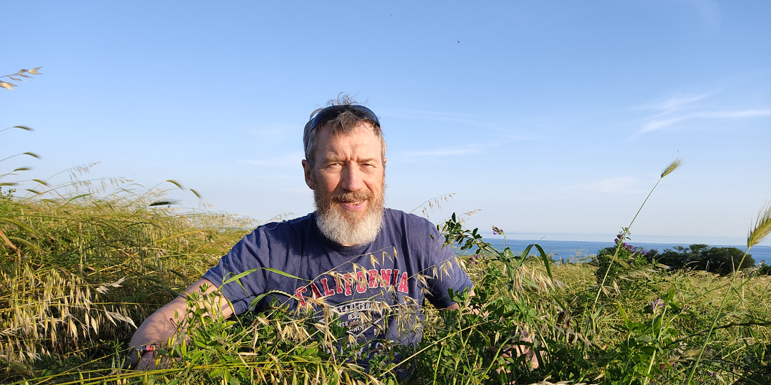 Невероятная польза семян укропа и укропной воды. Вы знали?