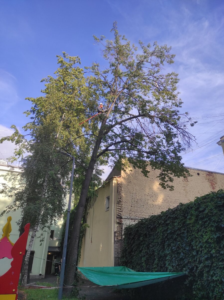 А справа крыша, на которую я спускалась с соседнего дома )