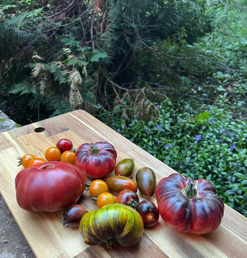 Фото предоставлено Яном Сугаком