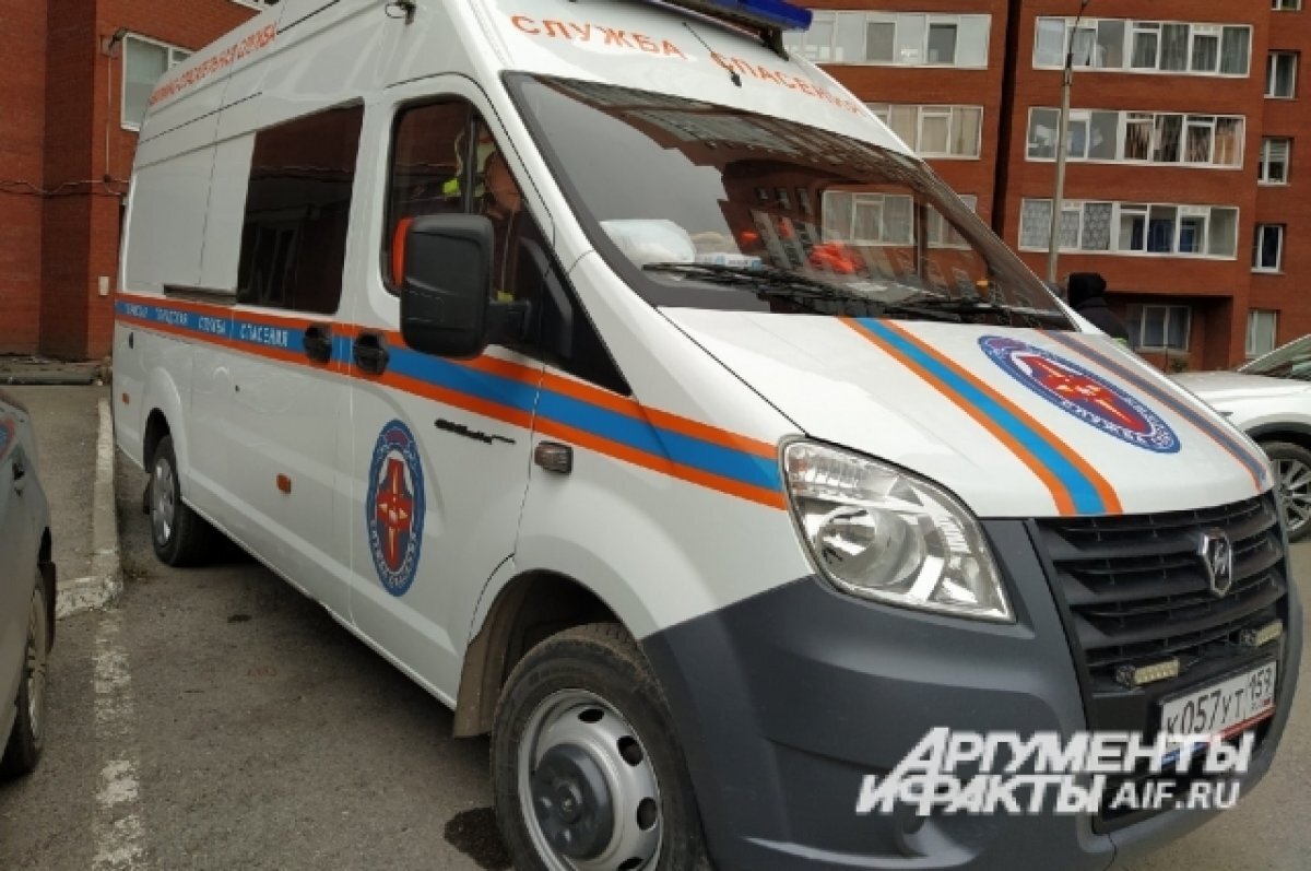    Спасателям пришлось приникнуть в квартиру через окно.